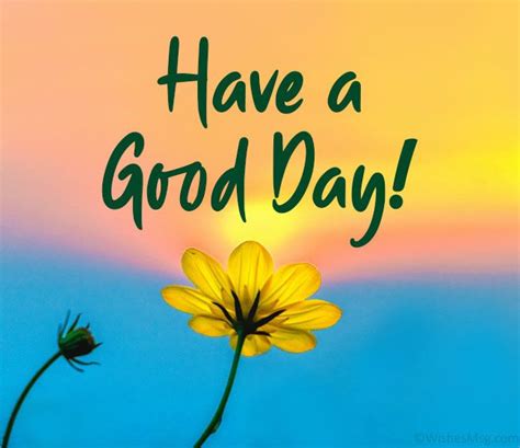 good day wishes messages  quotes wishesmsg great day quotes happy good morning