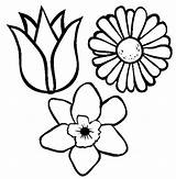 Spring Coloring Flowers Flower Pages Color Kids Drawing Wild Small Pretty Printable Drawings Print Types Getcolorings Getdrawings Astounding Draw Online sketch template