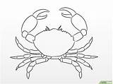 Crab Drawing Draw Sea Painting Simple Creatures Step Wikihow Drawings Crabs Easy sketch template