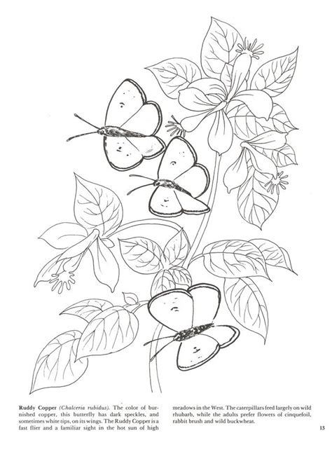 autumn flowers coloring pages coloring easy