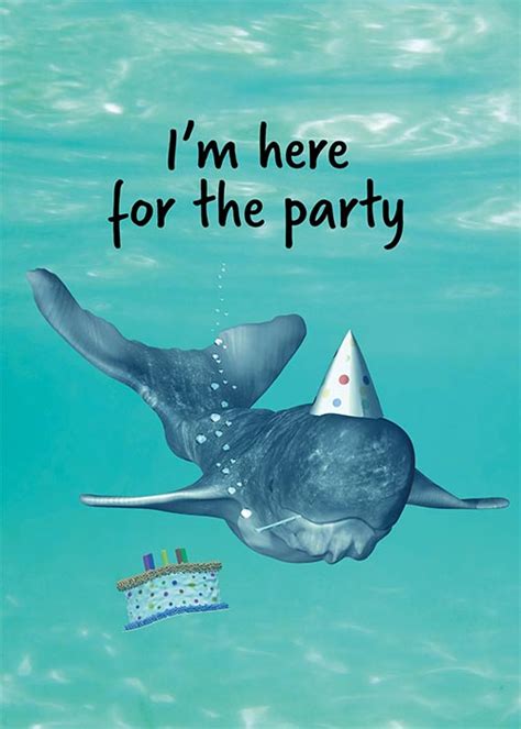 Funny Whale Birthday Card St Thomas Greetings