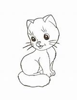 Coloring Kitten Pages sketch template