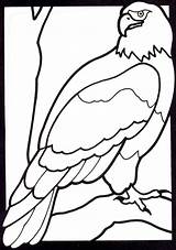 Coloring Pages Eagle Animals Animal Color Cartoon Kids Bald Crayola Cliparts Colouring Printable Z31 Clipart Gif Golden Print Library Eagles sketch template
