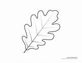 Leaf Oak Template Tree Drawing Coloring Templates Pages Leaves Kids Printables Printable Cut Maple Fall Print 2998 Color Timvandevall Choose sketch template