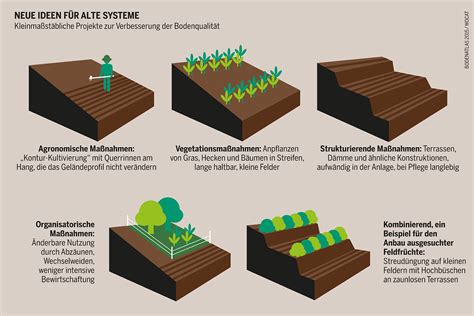 regeneration von boeden  bauern tun koennen heinrich boell stiftung