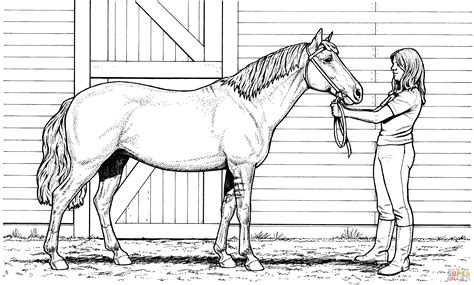 horse coloring pages hard coloring home