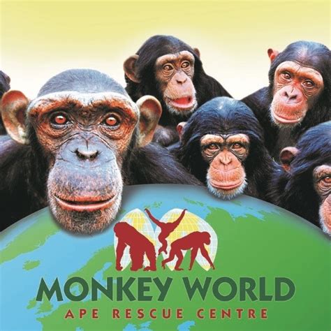 longleat monkey world