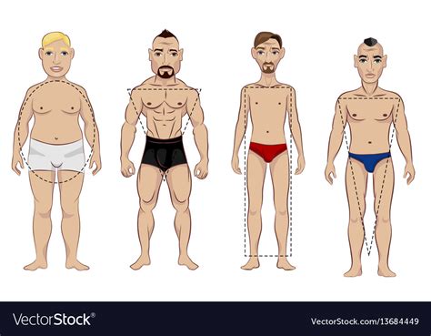 types  male figure royalty  vector image