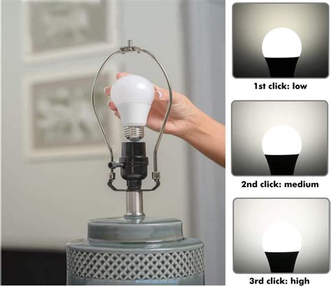 light bulb     bulbs  lamps