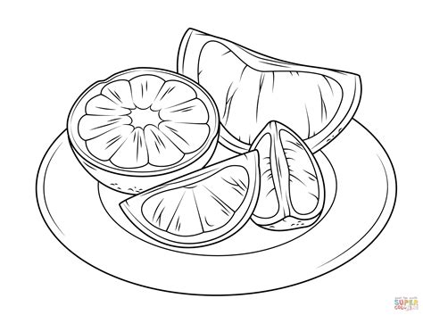 citrus fruits coloring page  printable coloring pages