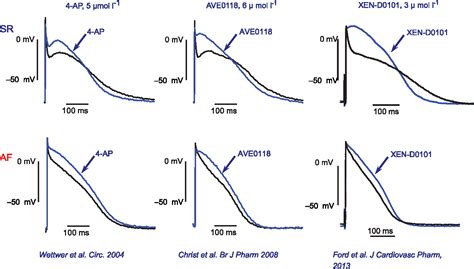 Figure 2 From Atrial Selectivity Of Antiarrhythmic Drugs