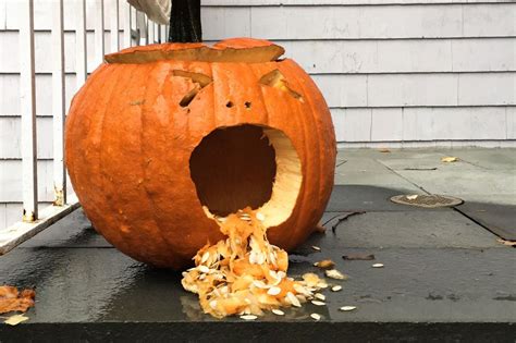 10 Reasons These Pumpkins Are Puking