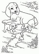 Puppies Puppy sketch template