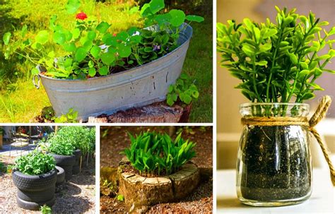 beginners guide to container gardening container gardening for