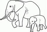 Elephant Coloring Pages Family Printable Kids Animal Small Books Baby Elephants Cute Print Gif Book Pixels Animaux Colouring sketch template