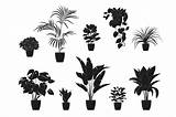 Potted Siluetas Plantas Planters Houseplants Macetas Vecteezy Tropicales sketch template