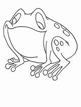 Disegni Rane Rana Colorat Animale Colorare Planse Animali Bambini Sapos Ranocchi Grenouilles Colouring Riscos Broscuta Frogs Gecko Copilul Copii Plansa sketch template