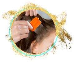 hair dye kill lice  eggs  truth revealed shampoo truth