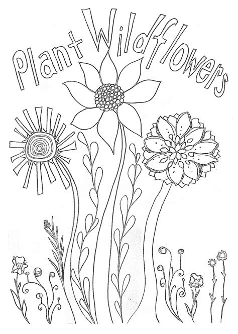 wildflowers printable coloring page   rootinforyourlife