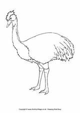 Colouring Australian Animals Animal Pages Kids Emu Aboriginal Coloring Drawings Line Symbols Activityvillage Easy sketch template