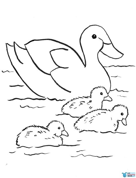 duck coloring games drpageco   mallard ducks coloring pages