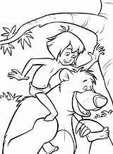Mowgli Libro Dschungelbuch Baloo Ausmalbild Dschungel Giungla Coloriages Backs Bestcoloringpagesforkids Kaa Selva Wonder Bagheera Ausmalen Buch sketch template