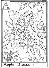 Coloring Pages Fantasy Flower Fairy Library Clipart sketch template