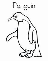 Penguin Penguins Popper Mr sketch template
