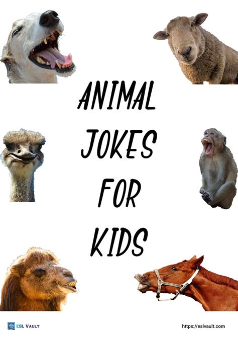 animal jokes  kids esl vault