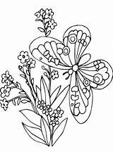 Vlinders Schmetterlinge Kleurplaat Malvorlage Persoonlijke Vlinder Stimmen Stemmen sketch template