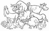 Granja Fattoria Coloring Bauernhof Pato Premium Malbuch Animais Ilustraciones Vektoren Animalitos Animati Cartoni Fazenda Livro sketch template