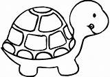 Coloring Pages Turtle Year Kids Olds Printable Print Young Drawing Color Cute Colouring Book Children Coloring4free Blank Hare Animal Girls sketch template