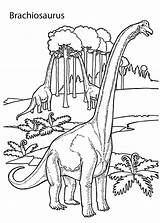 Coloring Dinosaur Pages Kids Brachiosaurus Realistic Printable Dinosaurs Jurassic Park Color Colouring Book Sheets Adult Kid Drawing Lego Land 4kids sketch template