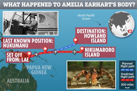 lost body of doomed pilot amelia earhart may have been