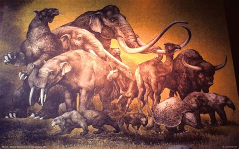 pleistocene megafauna prehistoric animals megafauna mammals