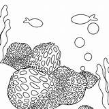 Coral Coloring Pages Simple Getcolorings Color Reef sketch template