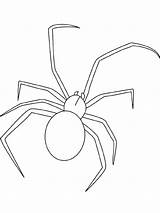 Spider Coloring Jumping Widow Pages Drawing Sheet Lightupyourbrain Color Printable Animals Kids Dessin Insectes Getdrawings Dessins Liège Enregistrée Depuis Google sketch template