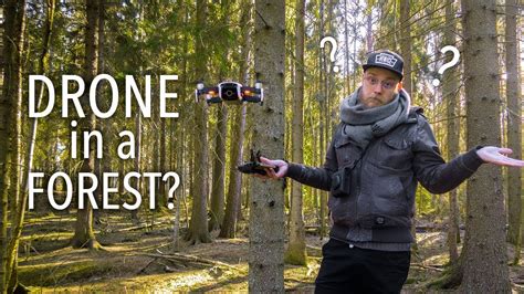 fly  drone  forest youtube