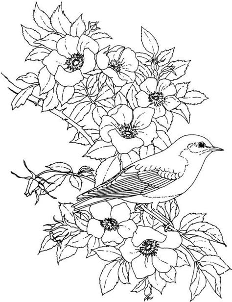 flower coloring page bird coloring pages flower coloring pages