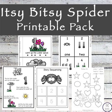 itsy bitsy spider printable pack spider printable bitsy spider