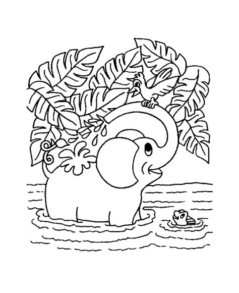 learning years animal coloring pages elephant