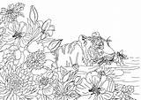 Nature Coloring Pages Beauty Kids Appearance Enchanting Wild sketch template