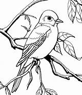 Mockingbird Shet sketch template