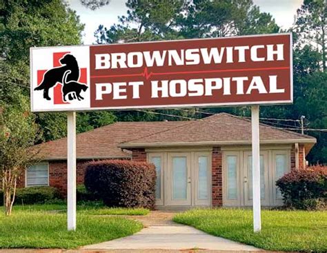 veterinarian slidell la brownswitch pet hospital