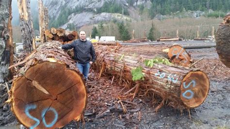 Western Red Cedar Logs And Lumber Fraserview Cedar Products