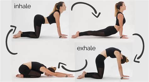 asana  brahmacharya yogatrotter yogatrotter academy