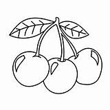 Cherries Colouring Canvas sketch template