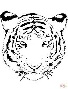 tiger portrait coloring page  printable coloring pages