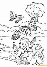 Coloring Spring Pages Flying Printable Butterflies Color Kids Cute Nature Adults sketch template