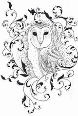 Filigree Drawing Owl Alexandra Sloan Drawings Fineartamerica Illustration Paintingvalley Line sketch template